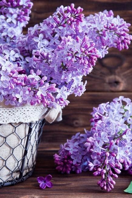 Interesting Facts about Lilac, Flower Arrangements and Colorful Home Decorating Ideas