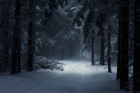 Winter Darkness Wallpapers - Wallpaper Cave