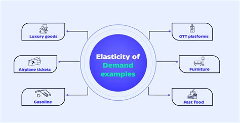 6 Price Elasticity of Demand Examples