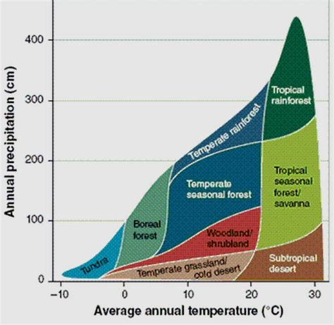 Tundra Biome Temperature