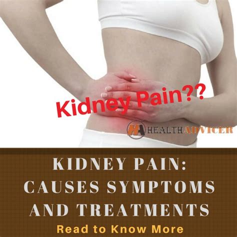 Kidney Pain : Causes, Location, Symptoms And Treatment