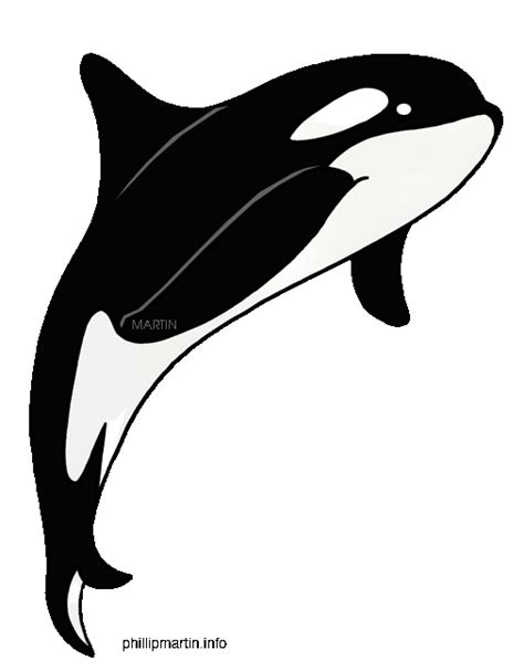 Orca Whale Outline - ClipArt Best