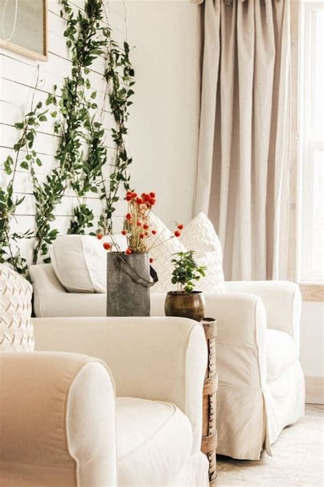 26 Indoor Climbers Pictures Inspiration for Houseplant Growers