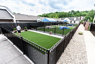 What to Look for in a Boarding Facility | Williamsburg Pet Hotels in St. Louis