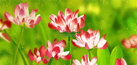 Hand painted bright flowers illustration image_picture free download 400128564_lovepik.com