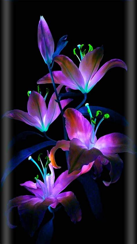 Download Neon wallpaper by 22lchelsees20268 - 94 - Free on ZEDGE™ now. Browse… | Flower ...