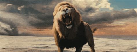 Lion Roaring GIFs - Find & Share on GIPHY