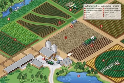 10 Best Sustainable Farming Methods! | Environment Buddy