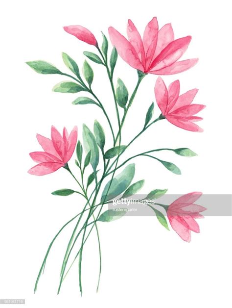 stock illustration : Watercolor Flower White background | Floral watercolor paintings, Flower ...