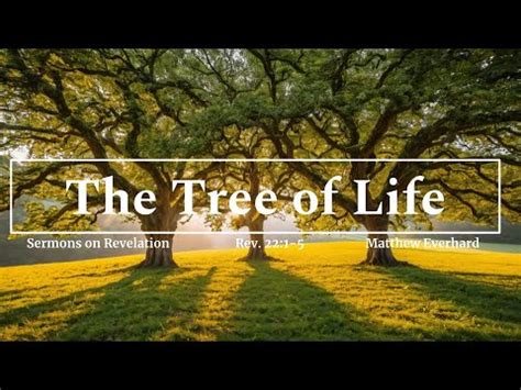 The Tree of Life. Revelation 22:1-5 [Sermon] - YouTube