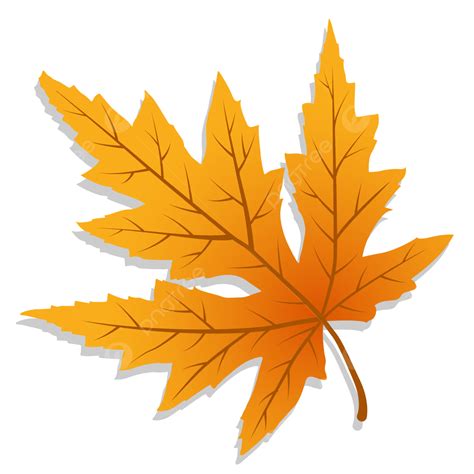 Aesthetic Autumn Leaves Vector, Autumn, Autumn Leaves, Leaf PNG and Vector with Transparent ...