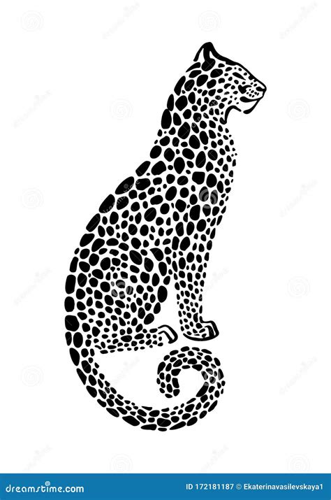 Jaguar Spotted Silhouette In A Jump. Vector Wildcat Animal Graphic Illustration. Black Isolated ...