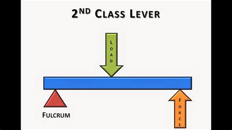 Second Class Lever Examples