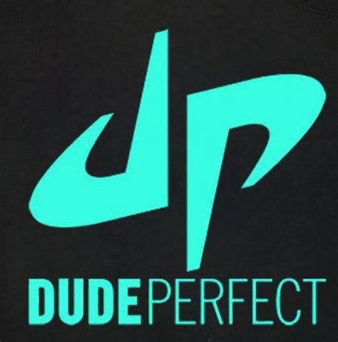 Dude Perfect Logo T-Shirt | Dude perfect, Dude, Tshirt logo