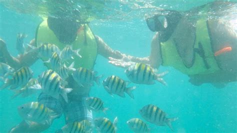 Snorkeling Tour at Private Beach in San Juan