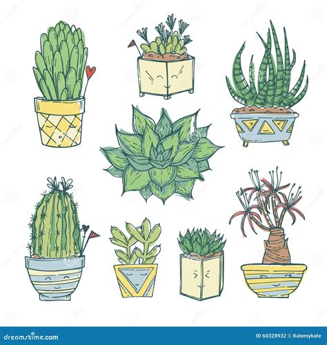 Hand Drawn Illustration - Set of Cute Cactus and Succulents. Stock Vector - Illustration of ...