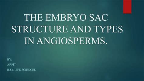 Types of embryo sac in plants. | PPT