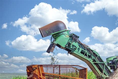 Machine Harvesting Sugar Cane Plantation Editorial Stock Image - Image of harvesting, farmland ...