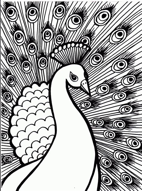 Free Printable Peacock Coloring Pages For Kids