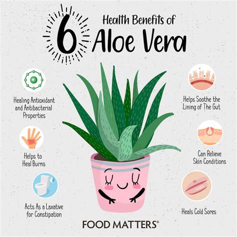 6 Health Benefits of Aloe Vera + 3 Simple Ways to Use It | FOOD MATTERS®