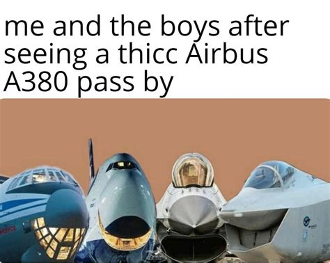 Airplane memes are the future : r/dankmemes