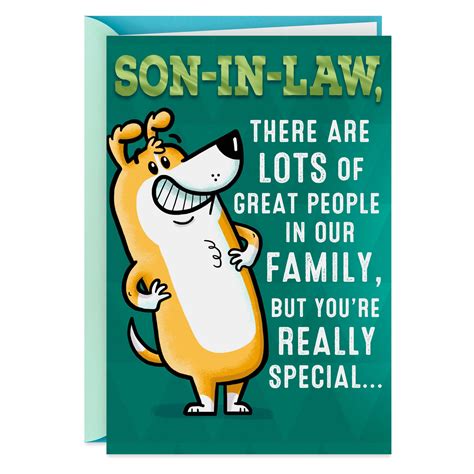 You're Special Funny Birthday Card for Son-in-Law - Greeting Cards - Hallmark