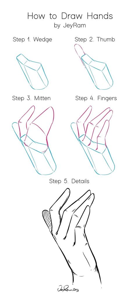 Hand Anatomy Drawing | Amazon.com: hand anatomy drawing