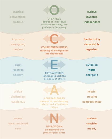 Big 5 Personality Traits: Psychology & Research Behind The Test | mindbodygreen