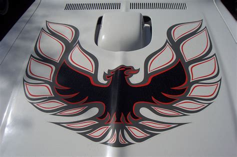 Product: Pontiac Firebird Trans Am Bird Hood Decal Sticker 3 Color Firebird Car, Pontiac ...