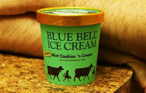 Blue Bell Ice Cream: Flavors, Prices, And Ordering Process - Cakes Prices