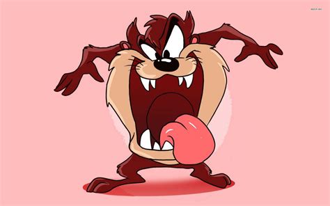 Tasmanian Devil Cartoon Wallpaper - WallpaperSafari