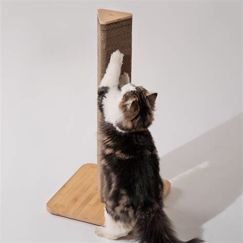 Refillable Cardboard Cat Scratching Post - Tall (Bamboo) | Omlet