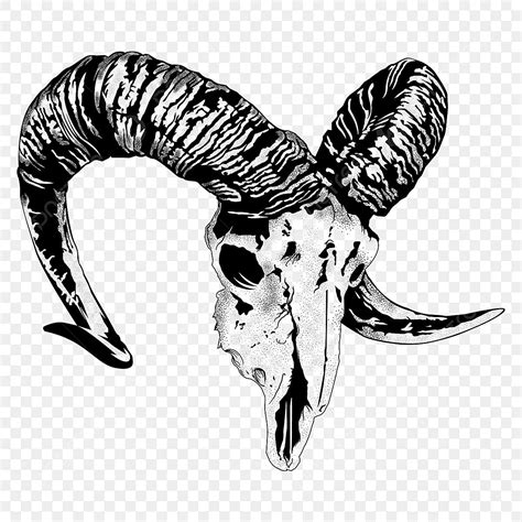 Ram Horn Vector Art PNG, Ram Skull And Horns Vector, Skull Drawing, Horns Drawing, Skull Sketch ...