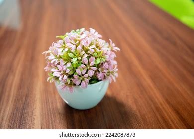 5,471 Conference Table Flowers Images, Stock Photos & Vectors | Shutterstock