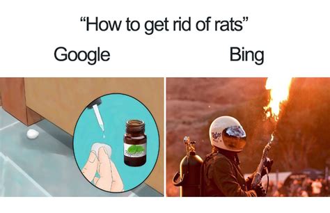 These 20 Google Vs. Bing Memes Are Hilariously Accurate | DeMilked