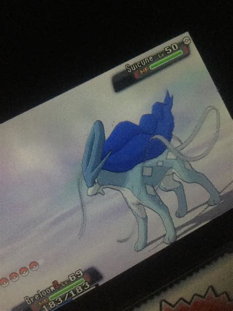 175 best Shiny Suicune images on Pholder | Shiny Pokemon, Pokemonrng and Pokemon TCG