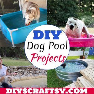 13 DIY Dog Pool Ideas For Home Decor - DIYsCraftsy