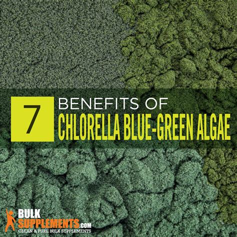 chlorella vs spirulina Archives