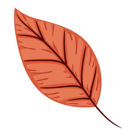 red autumn leaf 11263312 Vector Art at Vecteezy