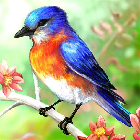 FREE 15+ Beautiful Bird Paintings in PSD | Vector EPS