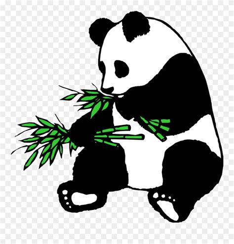 Download Panda - - Panda Eating Bamboo Clipart - Png Download (#753921) - PinClipart