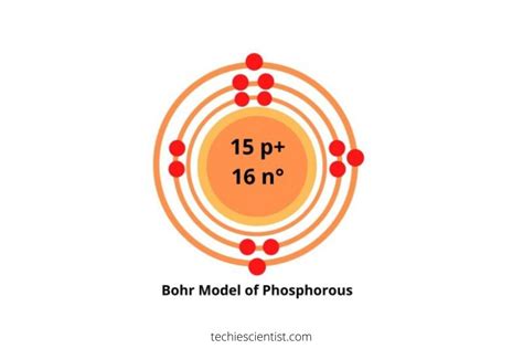 Phosphorus Bohr Model — Diagram, Steps To Draw - Techiescientist