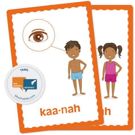 Tamil Body Parts Flashcards – BhashaKids