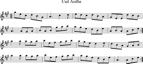 Cuil Aodha on folk tune finder