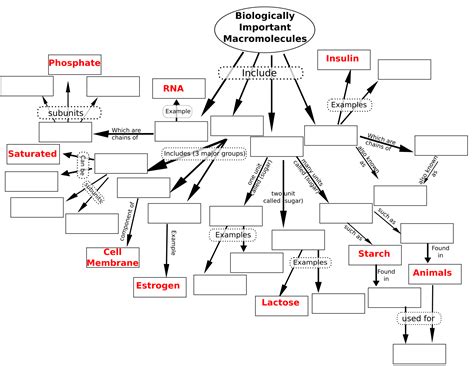 Biological Macromolecules (concept) | Biology OER