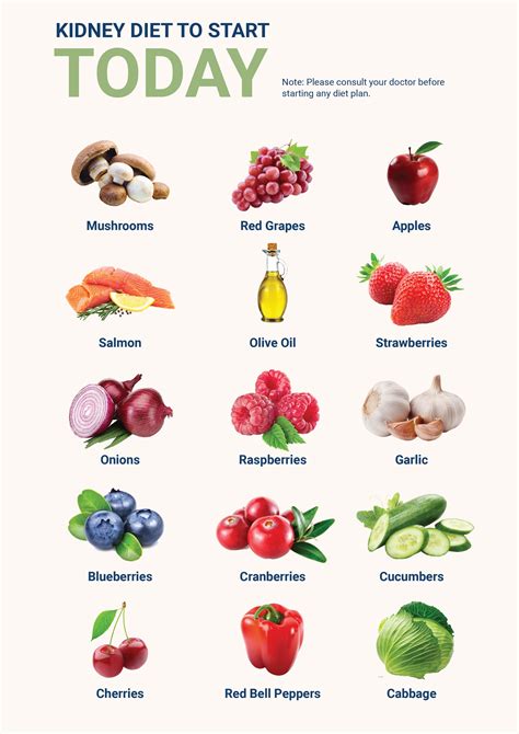 Diet Chart For High Creatinine Patient in Illustrator, PDF - Download | Template.net