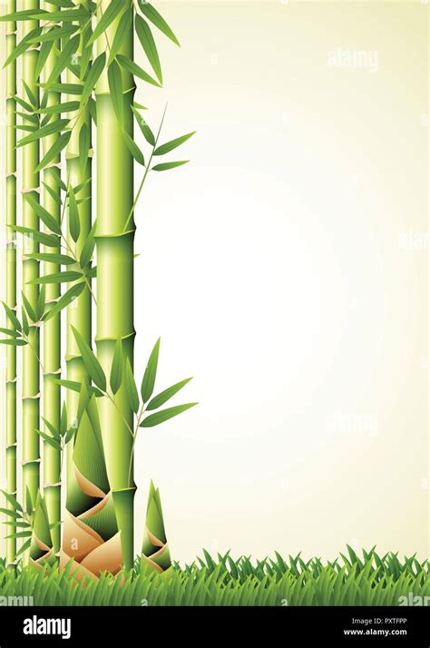 Nature background design with bamboo illustration Stock Vector Image & Art - Alamy