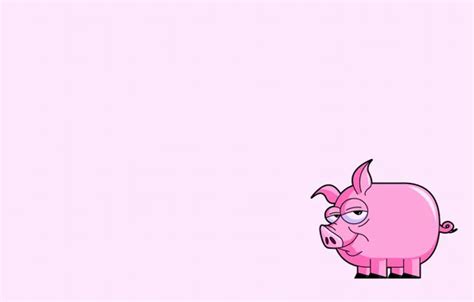 Wallpaper pink, minimalism, tail, pig, pig images for desktop, section минимализм - download