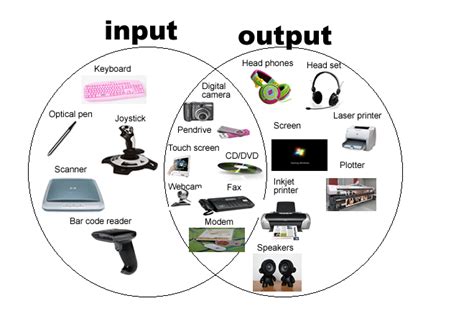 Input /Output Devices Diagram Quizlet, 46% OFF