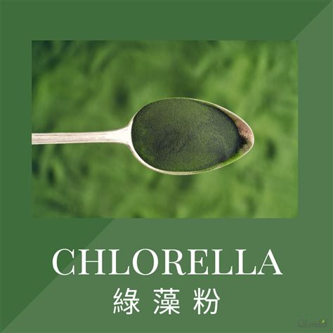 ORGANIC CHLORELLA – Blendit Hong Kong Ltd